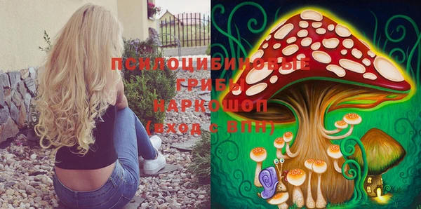 соль курить ск Богородицк