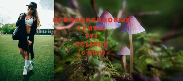 дмт Богородск