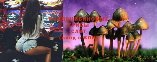 соль курить ск Богородицк