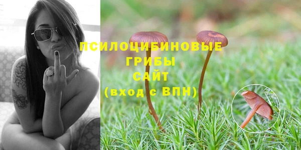 соль курить ск Богородицк