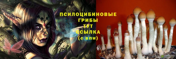 дмт Богородск