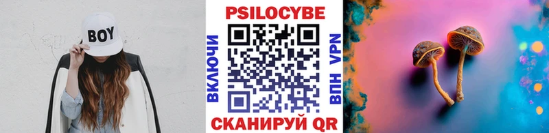 Галлюциногенные грибы Psilocybe  Великий Новгород 