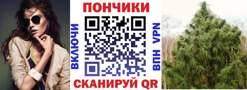 Канабис конопля Великий Новгород